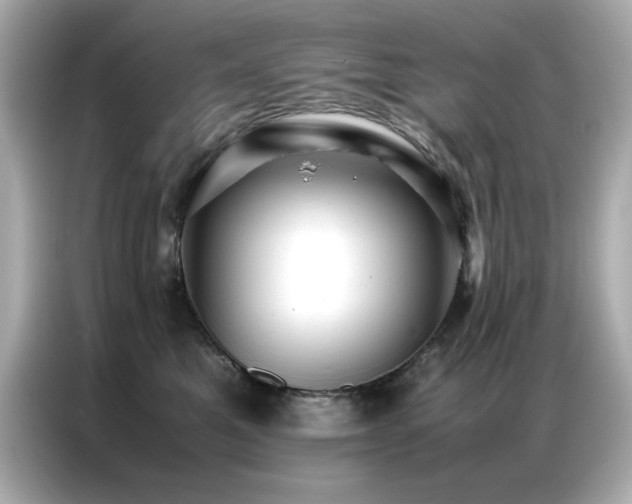 X0000087060521200704181301