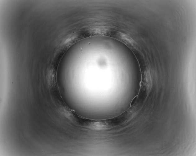 X0000087060522200704181301