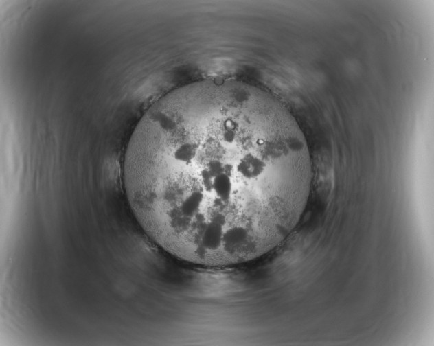 X0000087060523200704181301