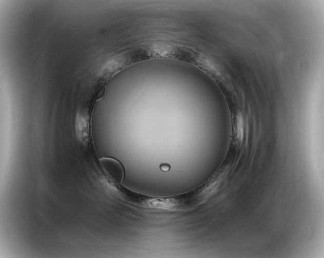 X0000087060526200704181301