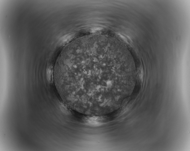 X0000087060527200704181301