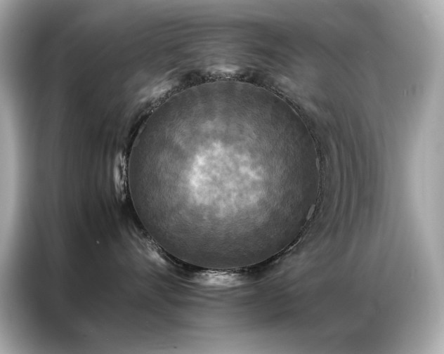 X0000087060528200704181301