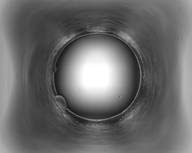 X0000087060529200704181300