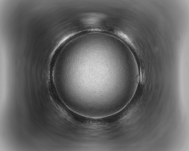 X0000087060531200704181300