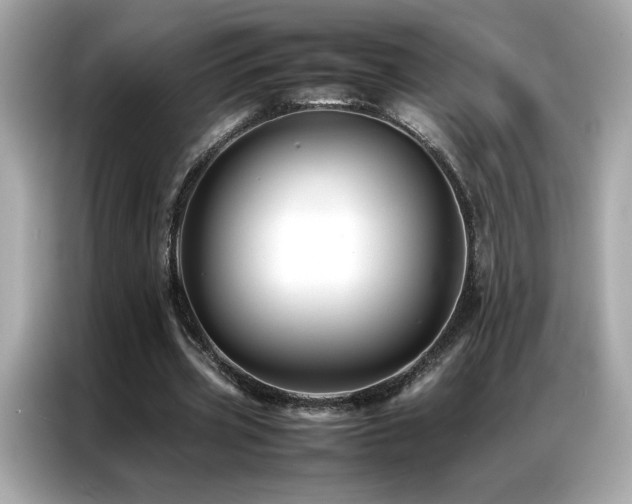 X0000087060533200704181300