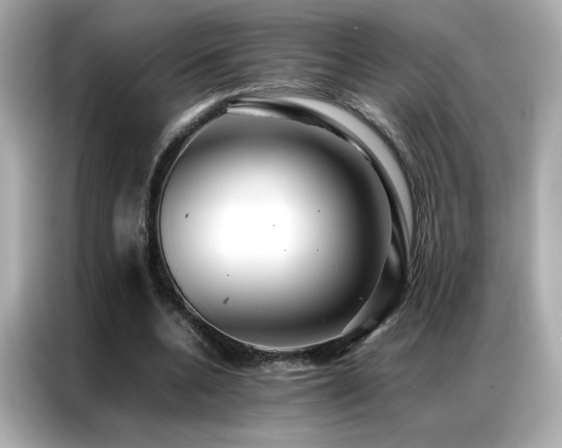 X0000087060536200704181300