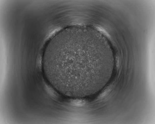 X0000087060542200704181300