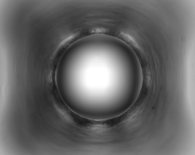 X0000087060543200704181300