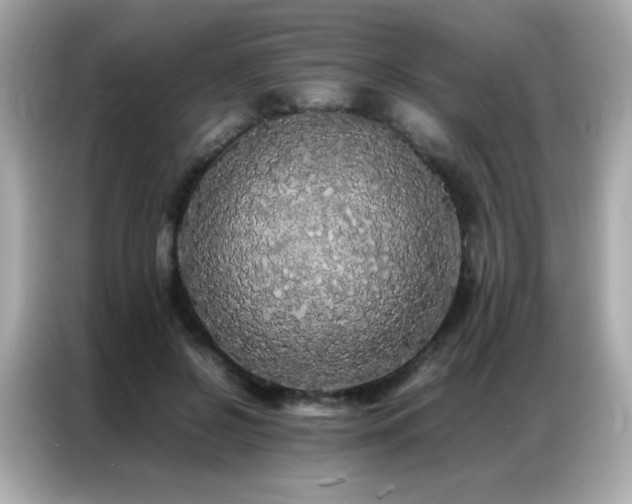 X0000087060550200704181300