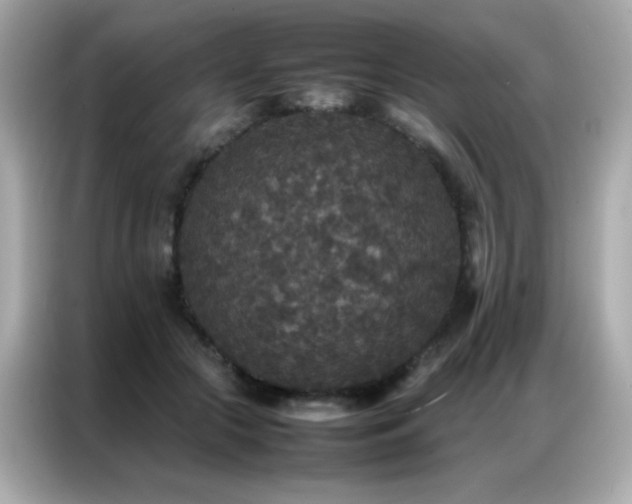 X0000087060553200704181300