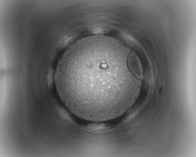 X0000087060554200704181300