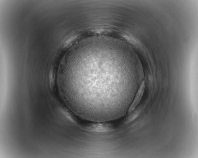 X0000087060558200704181300