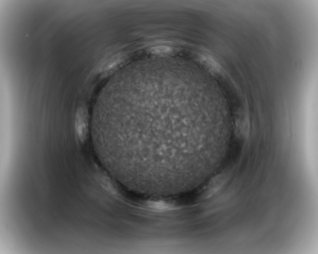 X0000087060561200704181300