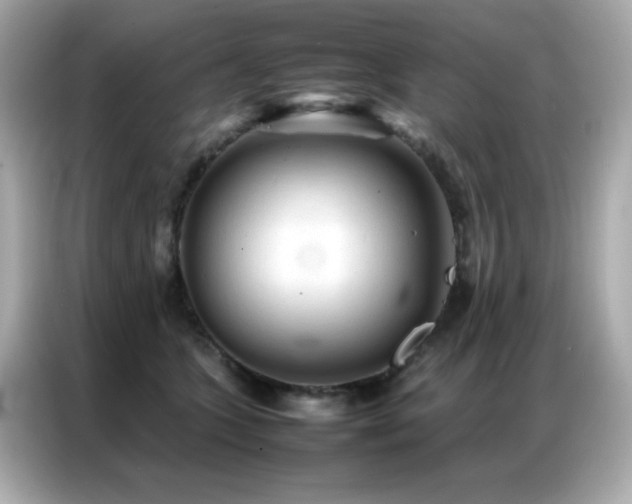 X0000087060563200704181300