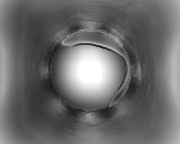 X0000087060564200704181301