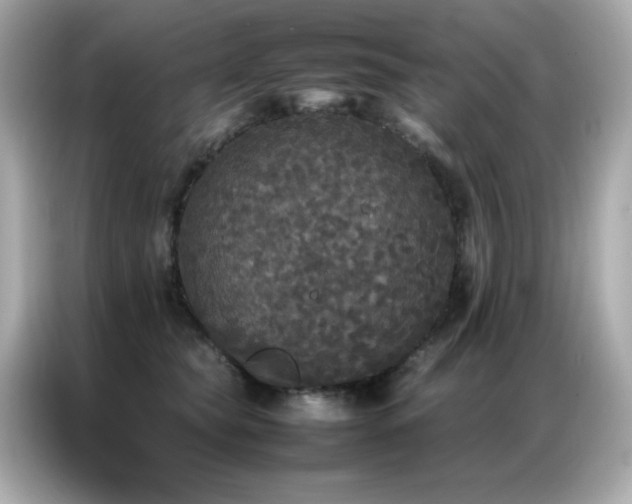 X0000087060565200704181301