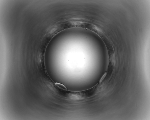 X0000087060567200704181301