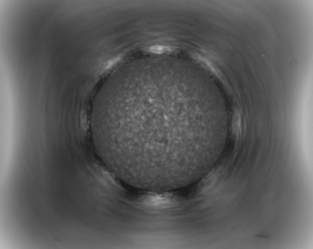 X0000087060569200704181301