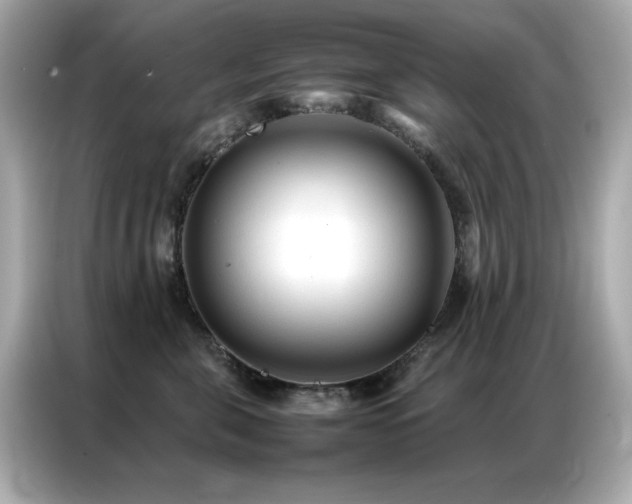 X0000087060571200704181301