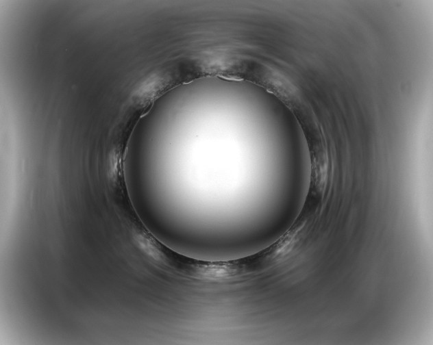 X0000087060574200704181301