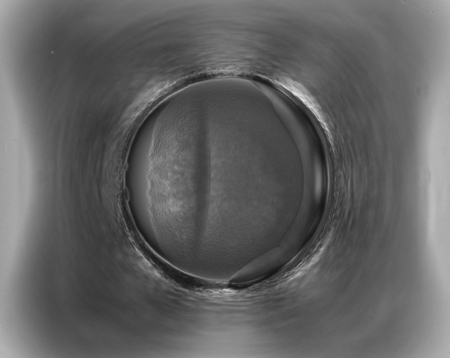 X0000087060577200704181300