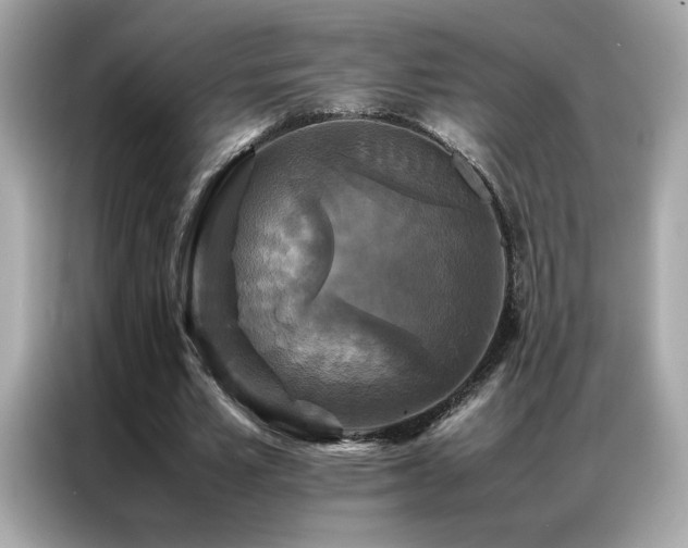 X0000087060581200704181300