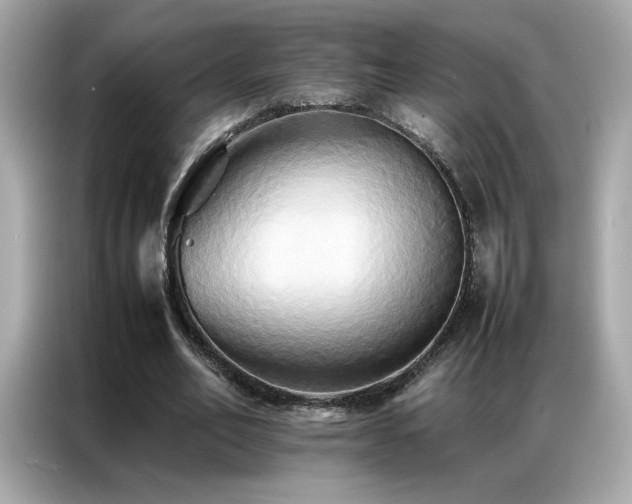 X0000087060582200704181300