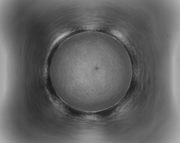 X0000087060583200704181300