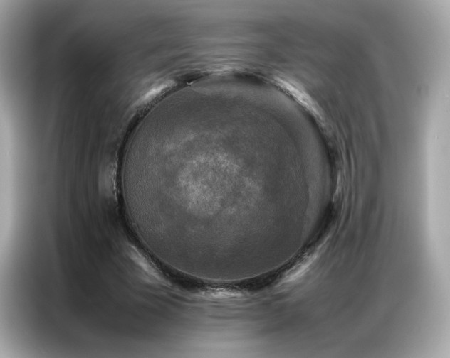 X0000087060585200704181300