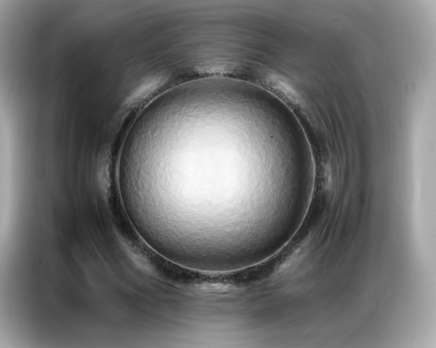 X0000087060586200704181300