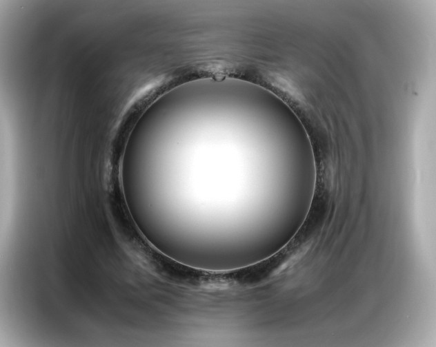 X0000087060587200704181300