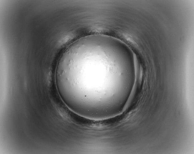 X0000087060591200704181300