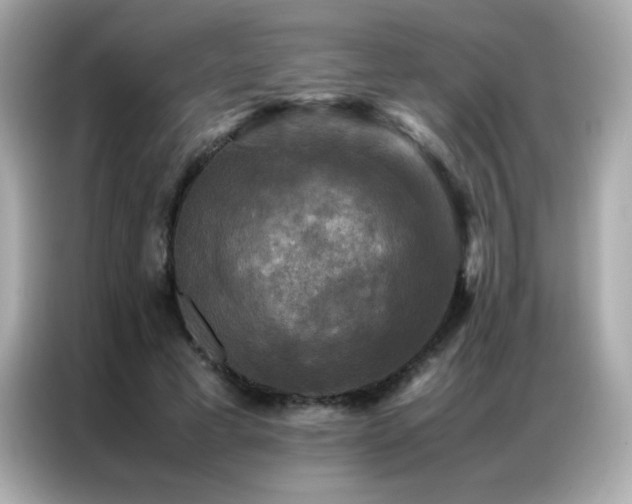 X0000087060593200704181300