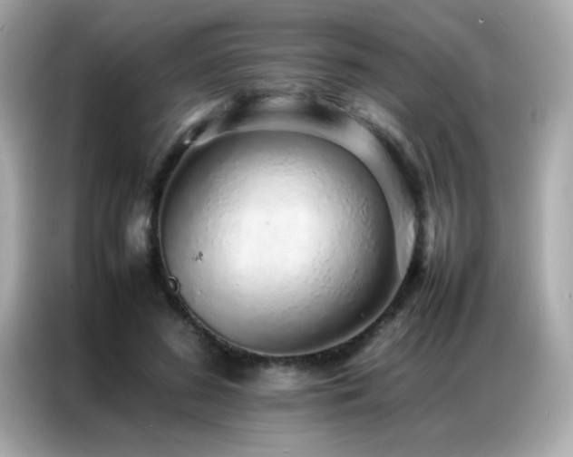 X0000087060596200704181300