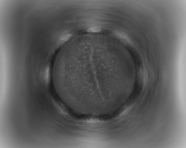 X0000087060598200704181300