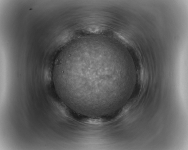 X0000087060606200704181300