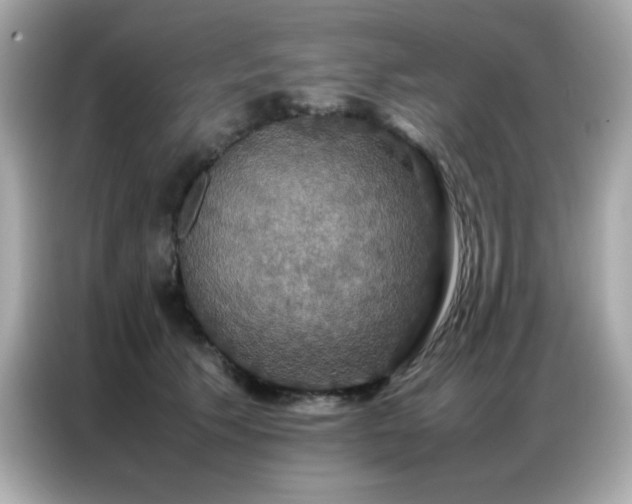 X0000087060609200704181300