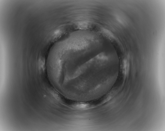 X0000087060610200704181300