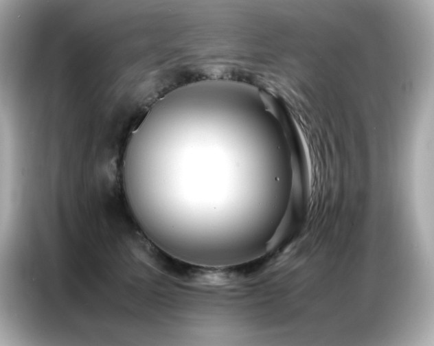 X0000087060611200704181300