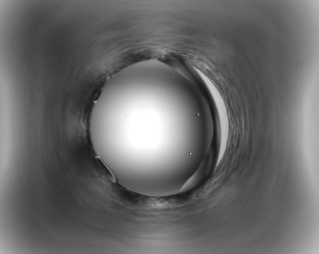 X0000087060613200704181300