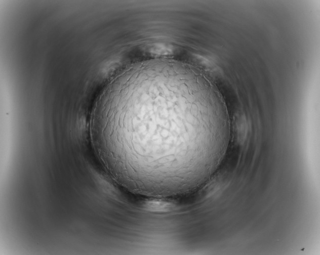 X0000087060614200704181259