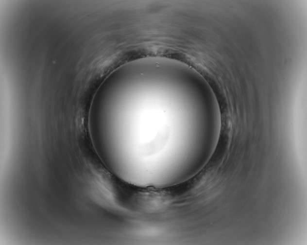 X0000087060615200704181259