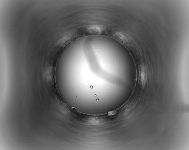 X0000087060616200704181259