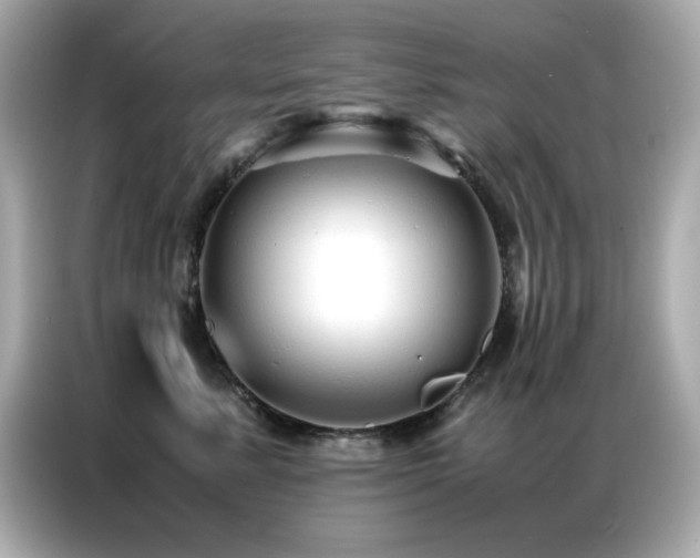 X0000087060619200704181259