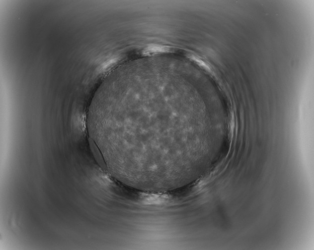 X0000087060621200704181259