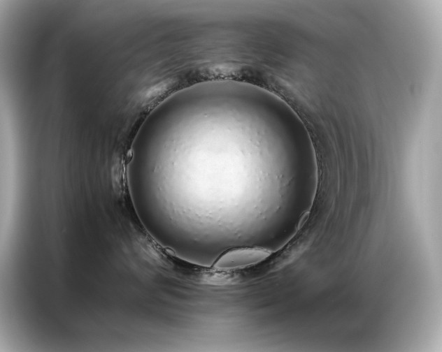 X0000087060624200704181259