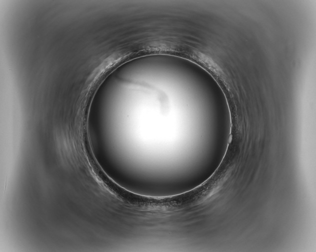 X0000087060625200704181259