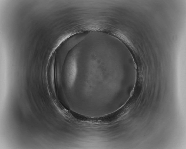 X0000087060626200704181259