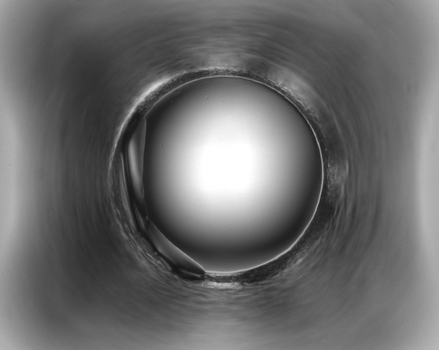 X0000087060628200704181259