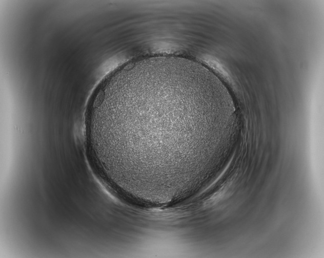 X0000087060630200704181259